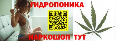 шишки Сланцы