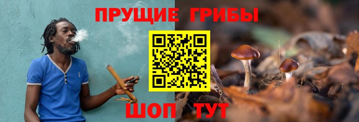 Ростов-на-Дону  наркота  Вход с VPN  Галлюциногенные грибы мицелий  Галлюциногенные грибы MAGIC MUSHROOMS 
